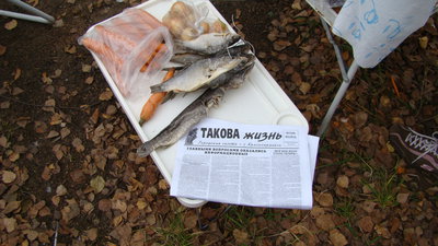 З О 2012 013.JPG